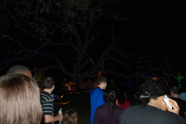 2013-12-20 20-33-58 Trail of Lights.jpg